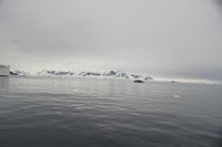 
DSC00042